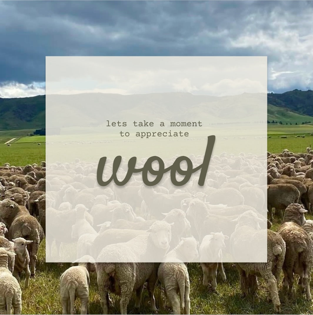 Wool Glasses Case