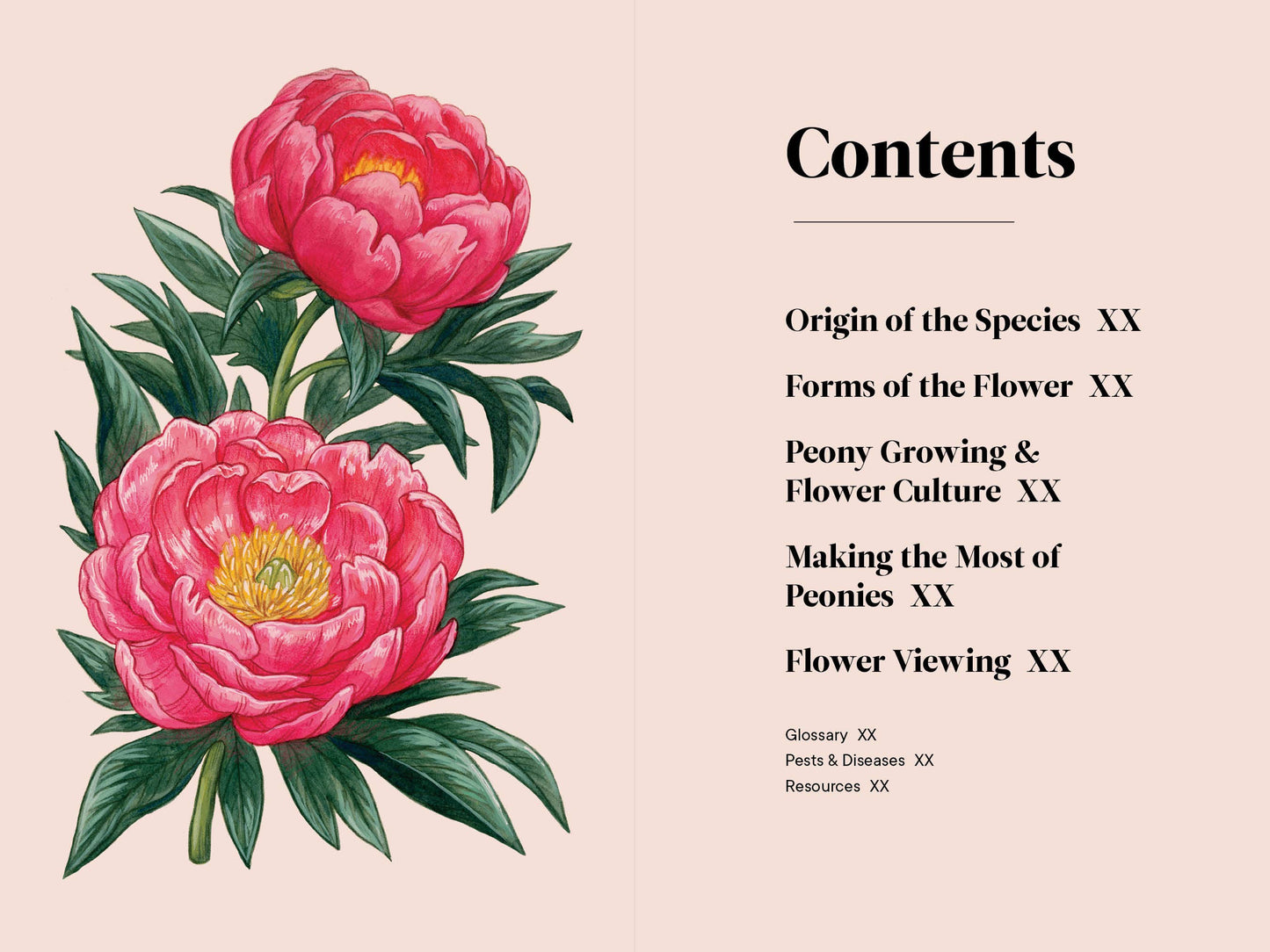 Peonies: A Little Book of Flowers (Valentines, Galentines)