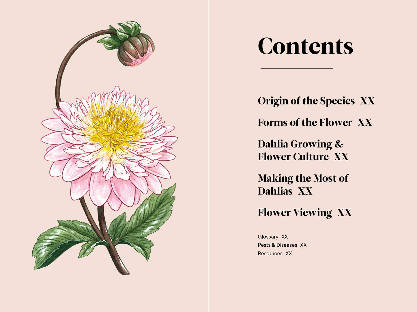 Dahlias: A Little Book of Flowers (Valentines, Galentines)