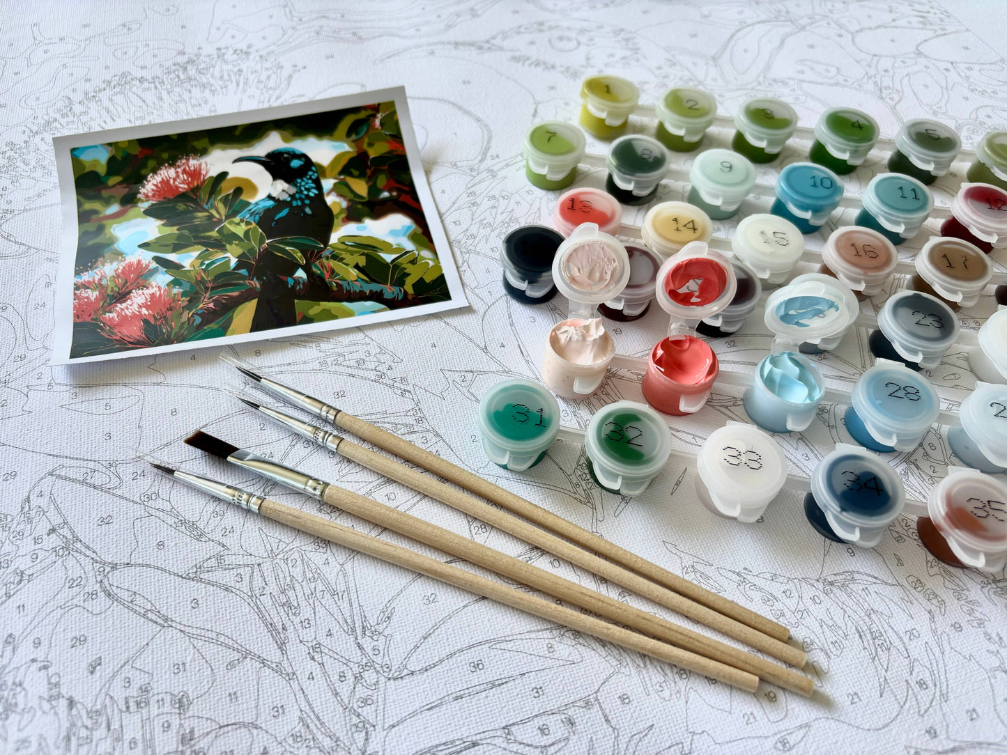 Milford Sound Paint by Numbers Kit