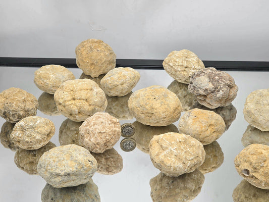 Large Break Your Own Quartz Crystal Geode