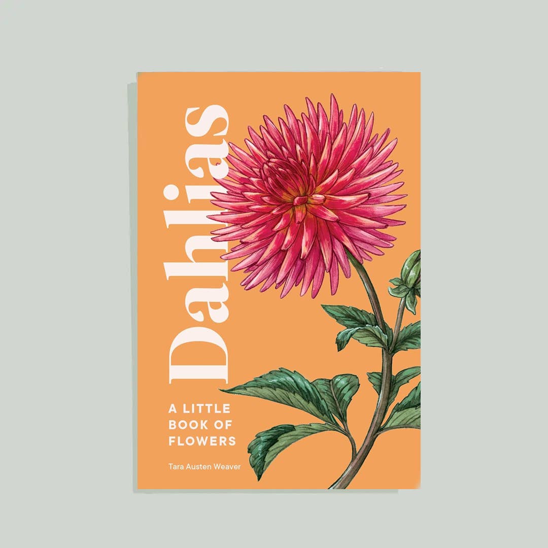 Dahlias: A Little Book of Flowers (Valentines, Galentines)